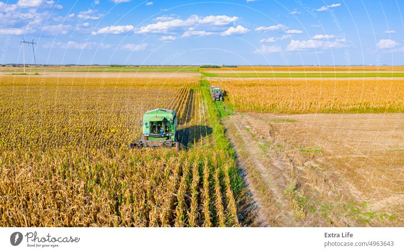 Above view of combine, harvester machine harvest ripe sunflower Aerial Agricultural Agriculture Agronomy Cereal Combine Country Crop Cultivated Cut Farm Farming