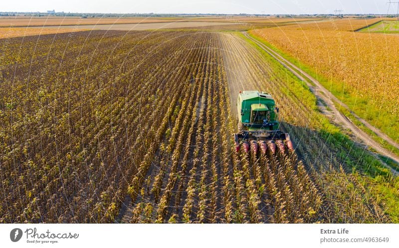 Aerial view of combine, harvester machine harvest ripe sunflower Above Agricultural Agriculture Agronomy Cereal Combine Country Crop Cultivated Cultivation Cut