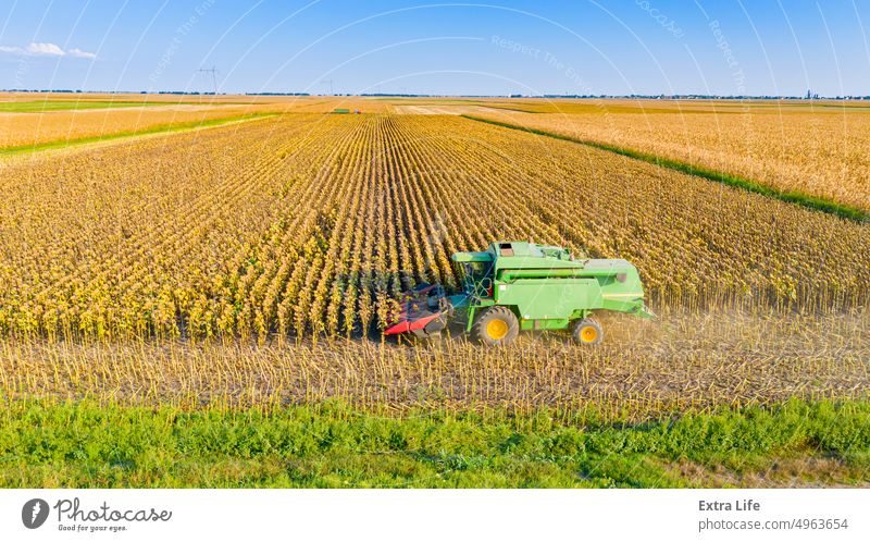 Aerial view of combine, harvester machine harvest ripe sunflower Above Agricultural Agriculture Agronomy Cereal Combine Country Crop Cultivated Cultivation Cut