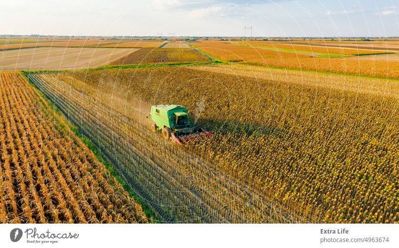 Aerial view of combine, harvester machine harvest ripe sunflower Above Agricultural Agriculture Agronomy Cereal Combine Country Crop Cultivated Cultivation Cut