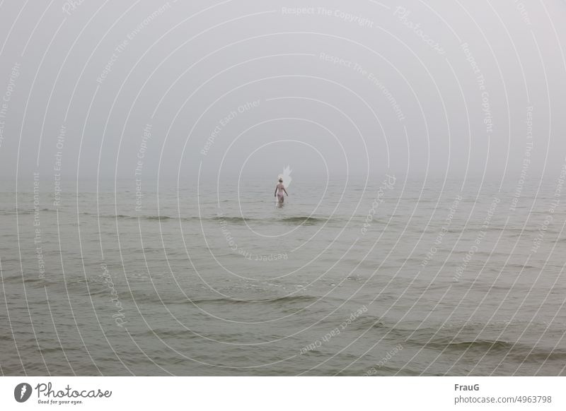 Whims of nature | summer fog day by the sea Ocean Baltic Sea Waves warm bathing weather Summer Fog nebula bathe Human being Rear view Stand Swimming & Bathing