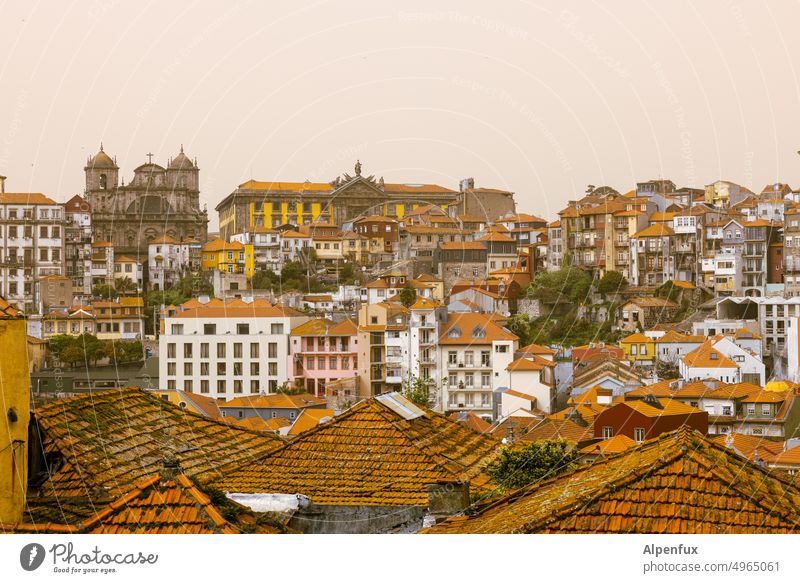 Urban development | what comes what stays ? Porto Architecture Europe Old town Portugal Tourism Historic Town urban City Landmark European Portuguese Building