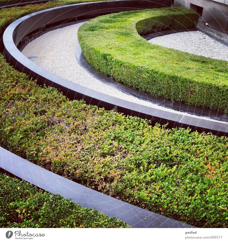 Change in the garden Line Green Arrangement Curve Hedge Pattern Structures and shapes Round Sun Bushes Abstract Colour photo Exterior shot Deserted