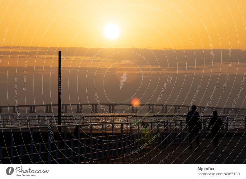 Nightlife | over Sunrise Ocean Morning Dawn Sunset Exterior shot coast Twilight Bridge Moody couple 2 persons 2 people Horizon Sunlight Summer Colour photo