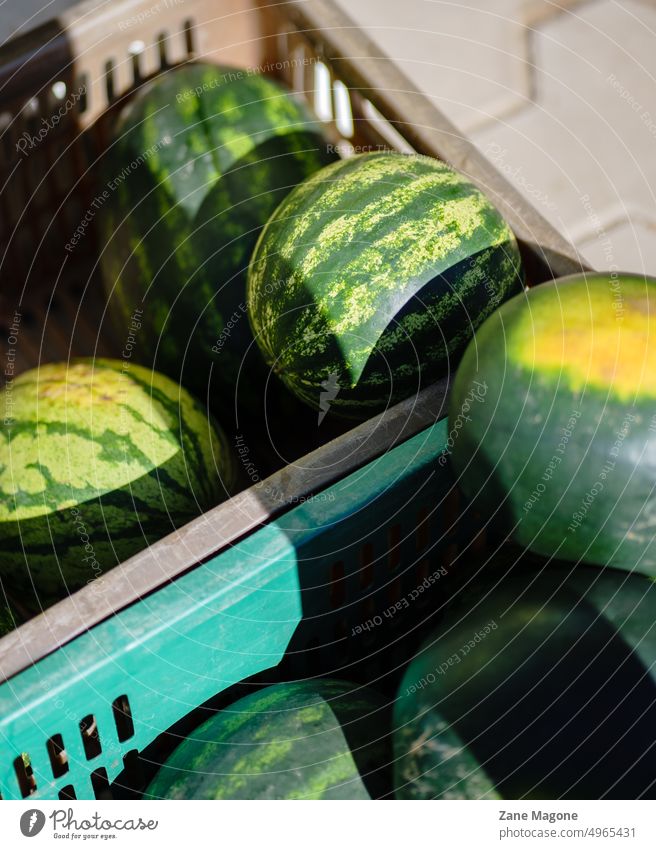 Watermelons in plastic boxes, Farmers' market watermelon farmer farmer market market aesthetics watermelons fruits selling watermelons selling fruit frugal