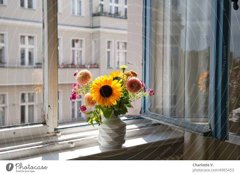 Bouquet with sunflower on window sill flowers cut flowers Flower Blossom Decoration Blossoming pretty Colour photo Vase Window board windowsill Summerflower