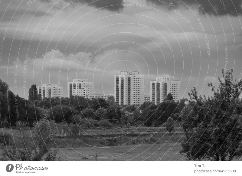 View over apple meadows to Falkenhagen New building High-rise Falkenberg b/w Black & white photo B/W Day B&W Exterior shot Calm Deserted Prefab construction