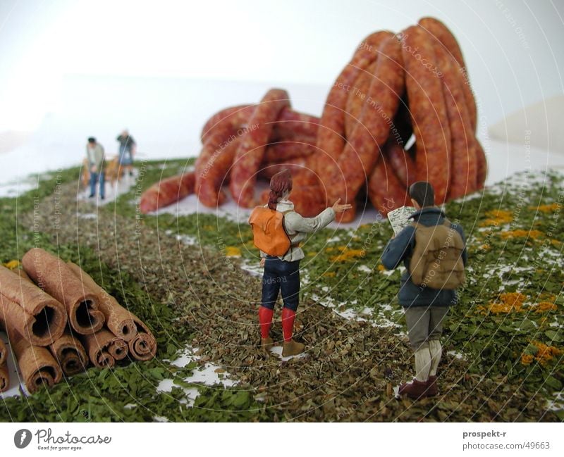 sausage mountain Sausage Miniature Cinnamon Basil Hiking Landscape Macro (Extreme close-up) world. hikers