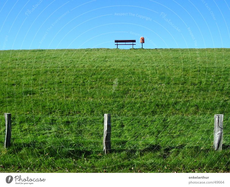 on the dyke Grass Fence Trash container Green Empty Bench North Sea Colour