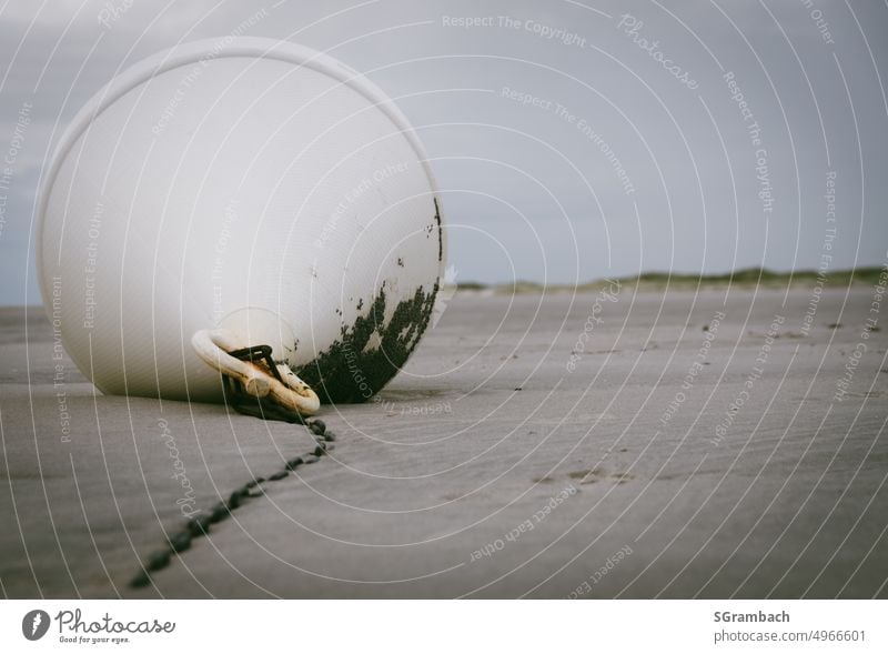 White buoy on chain lying on beach Beach Buoy Flotsam and jetsam Low tide Exterior shot North Sea Ocean coast Tide Vacation & Travel Summer Relaxation Flat