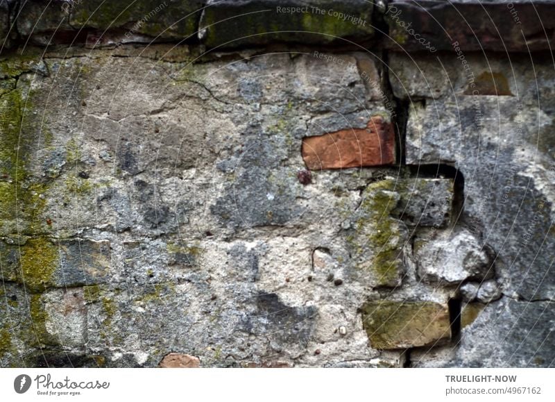 Ancient wall with fallen plaster, crumbling bricks and a deep crack old wall Wall (barrier) masonry dilapidated Plaster crumbled away Crack & Rip & Tear frowzy