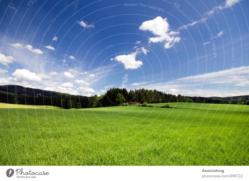 Shire? SECOND Environment Nature Landscape Plant Air Sky Clouds Horizon Summer Weather Beautiful weather Warmth Tree Grass Bushes Meadow Field Forest Hill