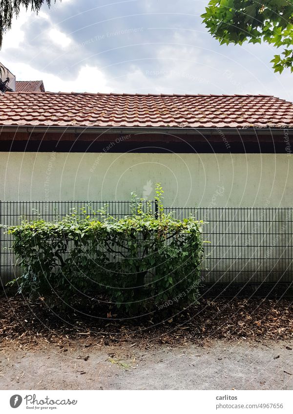 Wren Palace | Beautiful living was yesterday Garage Fence shrubby Backyard dreariness bar fence Gloomy Gray Building Facade Wall (building) Deserted