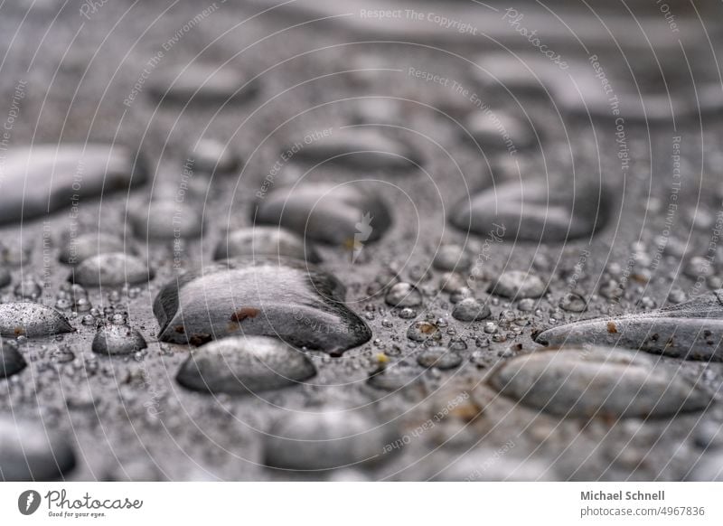 Everything wet! Raindrops raindrops Wet Drops of water Water Bad weather Close-up Weather Autumn Gray Damp Reflection Rainy weather Macro (Extreme close-up)