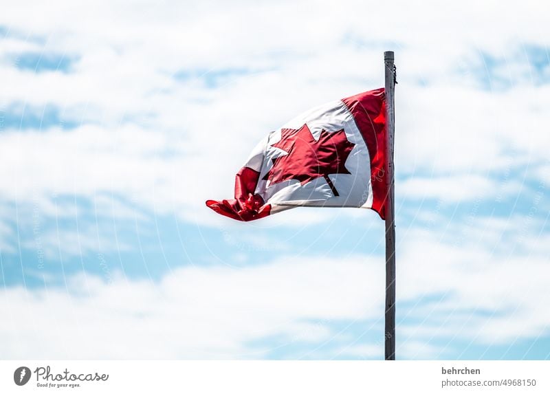 fly the flag British Columbia Canada Vancouver Island especially North America Vacation & Travel Tourism Wanderlust Sky Alberta Ensign Nationality