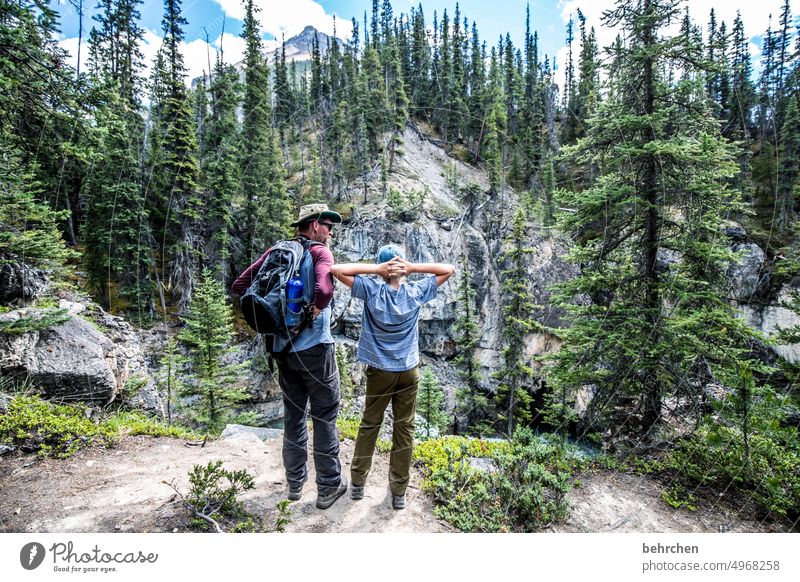 two who marvel Wood Colour photo Mountain Adventure Impressive Landscape Fantastic Wanderlust Vacation & Travel Canada North America Forest Wall of rock Canyon