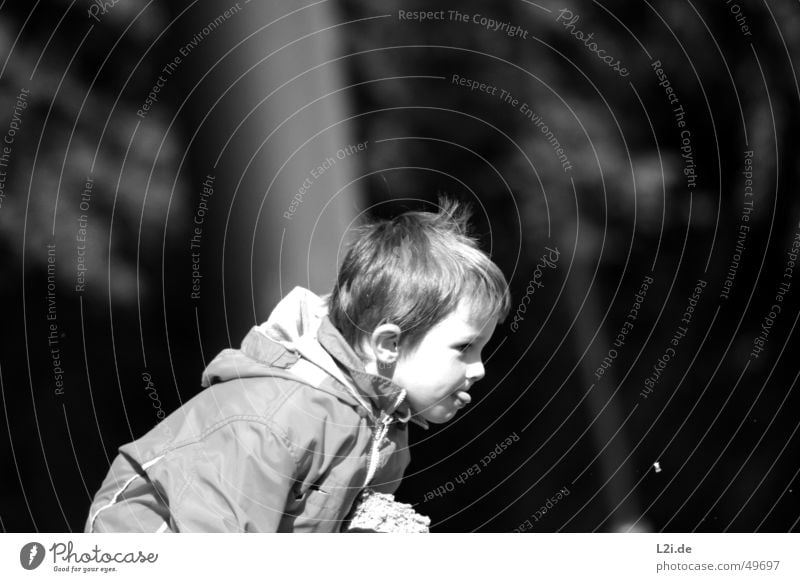 Little boy Child Small Blonde Jacket Black White Crouch Playing Sun Boy (child) Human being Face Tongue Hair and hairstyles Ear Nose Eyes Throw Brash Joy Nature