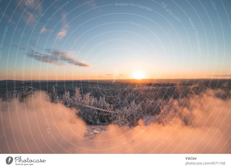 Breathtakingly frosty morning at a viewpoint in Rovaniemi, a Finnish city on the Arctic Circle. A view of the snowy landscape at golden hour. Snow-covered untouched forest