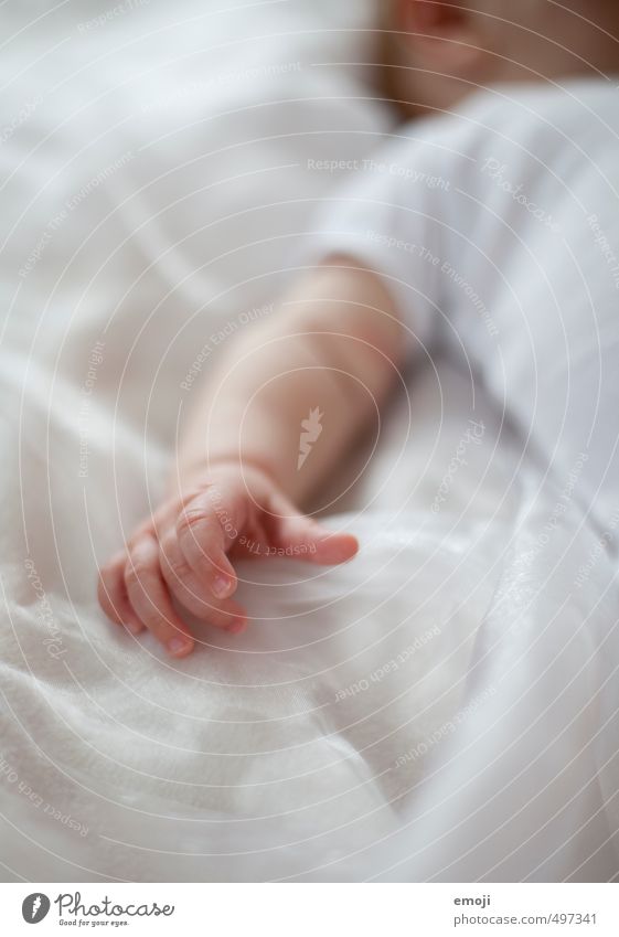 fingers Baby Infancy Hand Fingers 1 Human being 0 - 12 months Cuddly White Smooth Colour photo Interior shot Detail Day Shallow depth of field