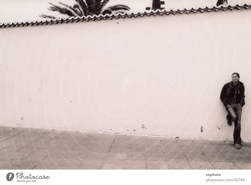 Teguise in the fog Woman Wall (barrier) Palm tree Lanzarote Spain Places Background picture Brick White Footwear Calm Dreamily Fog Canaries Moderate Electricity