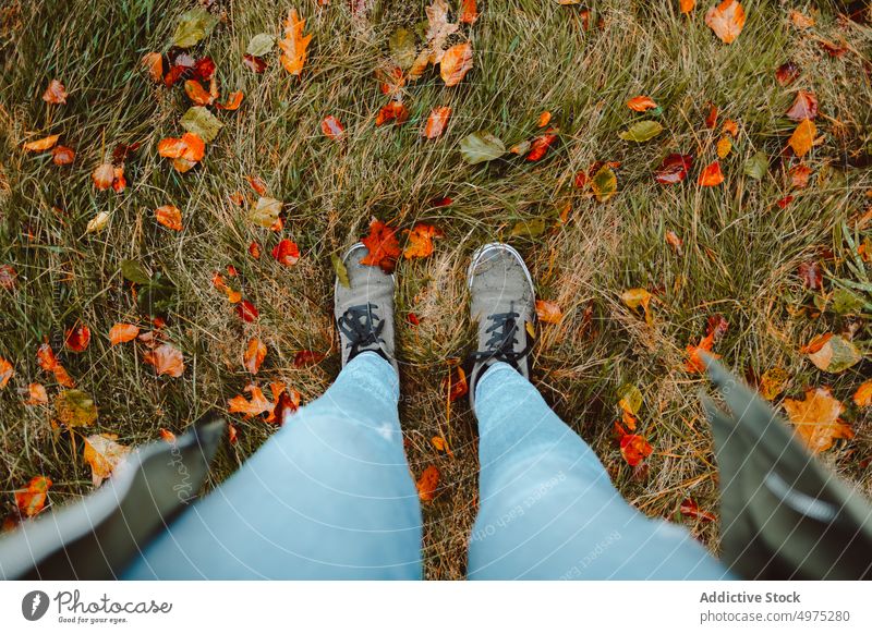 Person standing over a wet floor full of autumn fallen leaves yellow forest brown nature leaf background water feet rain orange season park texture stone