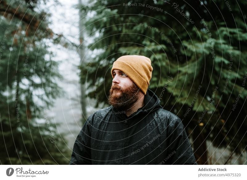 Bearded guy in coat and hat near fir trees man forest rain pensive cold weather water drop rainy bearded thoughtful wood thinking young countryside walking park