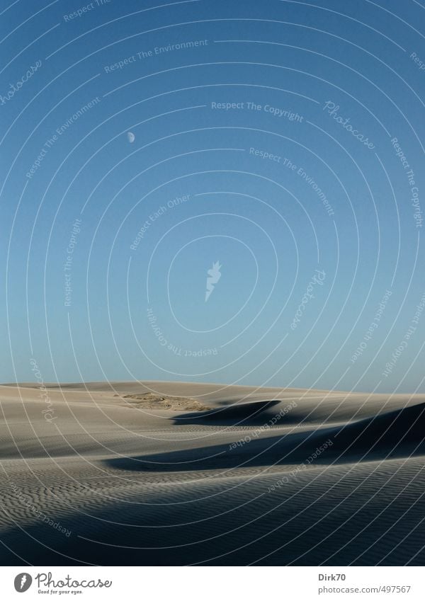 Desert and empty in the moonlight Environment Sand Moon Summer Climate Hill Dune Beach dune Jutland Denmark Scandinavia Deserted Infinity Cold Gloomy Dry Blue