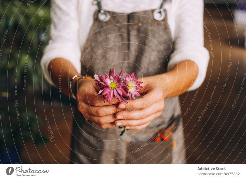 Young woman standing in orangery with flower smell greenhouse daisy garden enjoy plant margarita grow work cultivate female young occupation profession owner