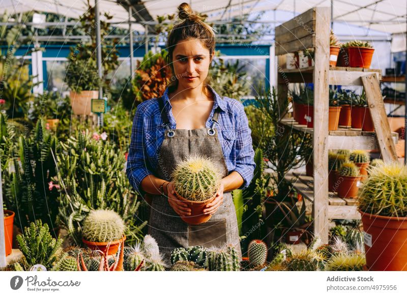 Crop gardener showing succulent to camera greenhouse pot work organic botany female small business plant professional fresh apron owner care hothouse