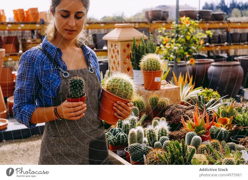 Crop gardener showing succulent to camera greenhouse pot work organic botany female small business plant professional fresh apron owner care hothouse