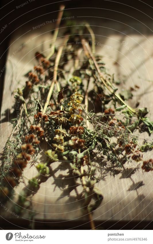 Kitchen herbs in the sunlight on a wooden cutting board. kitchen herbs Dried Oregano Thyme Chopping board Wood Sunlight Shadow Fresh boil recipe season