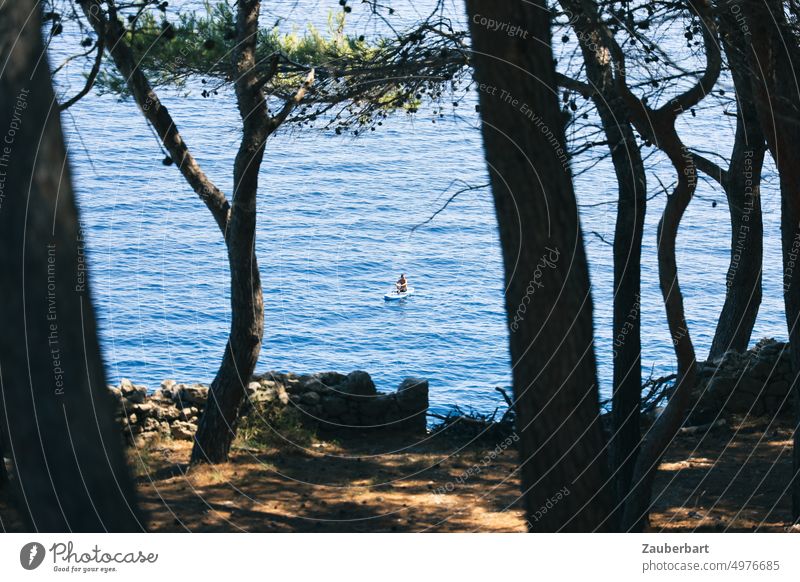 View of the sea between trees, person on SUP board Ocean coast SEA Stand up paddling standup Paddling vacation bathe Aquatics Leisure and hobbies Summer