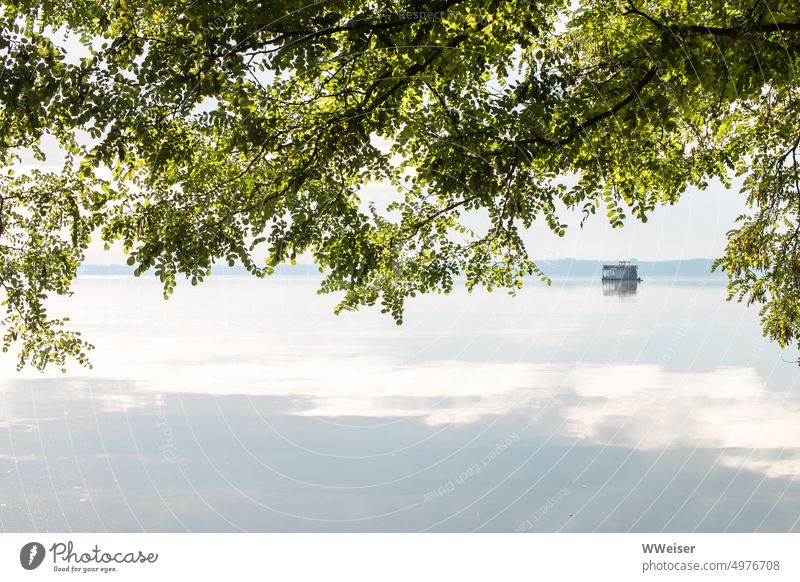 A green tree kindly serves as a roof on the lakeshore, a raft dozes on the water Lake bank Vantage point Nature Tree Robinia Ash-tree Deciduous tree Leaf canopy