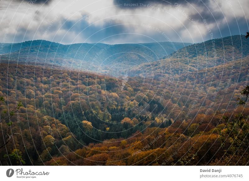 National Park Fruska Gora in Serbia, autumn aerial landscape autumn landscape autumn trees autumns background beautiful cloud clouds cloudy colorful colors