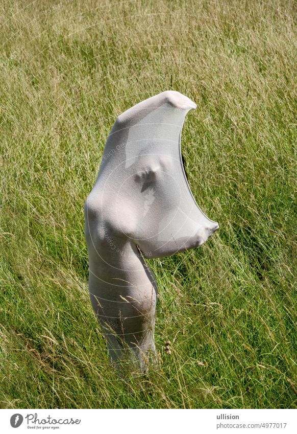 sexy young woman wrapped in a big transparent stocking dress cloth, stands as a modern sculpture on summer meadow, spreads arms, face with a nice shadow vogue