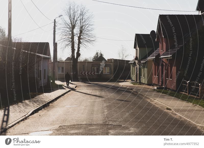 a road leads through an autumn village Village Street Poland Autumn Sunlight Exterior shot Deserted Colour photo Beautiful weather Tree Landscape Day