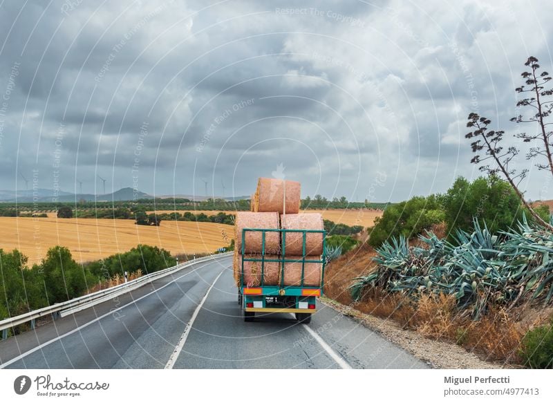 Rolls of hay loaded on the trailer of a farm tractor and driving along a road, rear view. bale straw field agriculture harvest roll countryside crop round stack