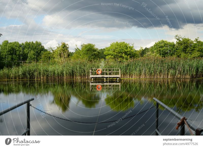 Water with reeds and dock on the other bank for the ferry Exterior shot Deserted stormy atmosphere Lake Summer Ferry terminal opposite bank with reeds and trees