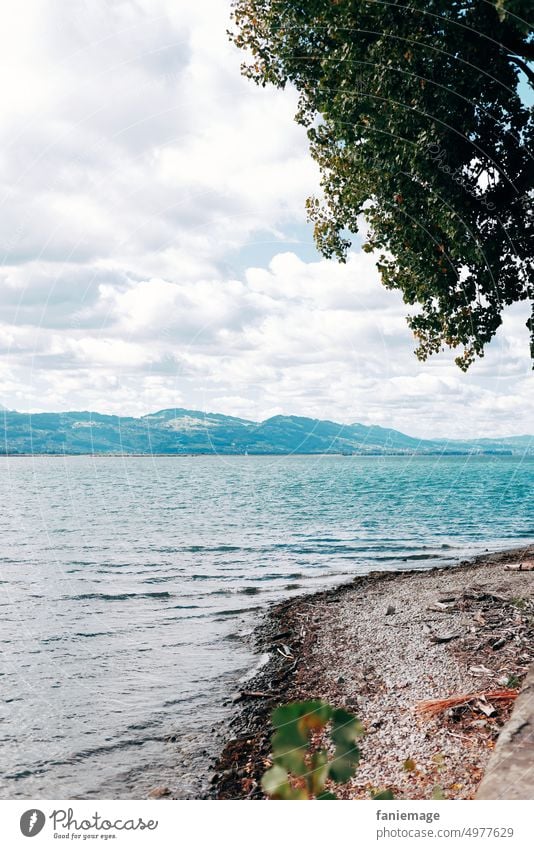 Blick auf den Bodensee Berge Wolken Baum Ufer Kieselsteine Natur Landschaft natürlich herbstlich Herbst Sommer SEe Wetter Wellen türkis blau türkisblau Blätter