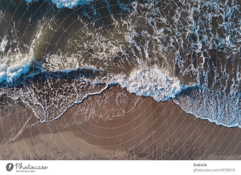 Coastline with sea waves and sand beach, top view ocean aerial water blue background above shore summer tropical sandy nature travel landscape vacation coast