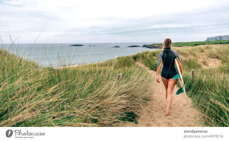 Surfer woman with wetsuit and surfboard walking along the path between the dunes towards the beach surfer young copy space winter coast silhouette back people