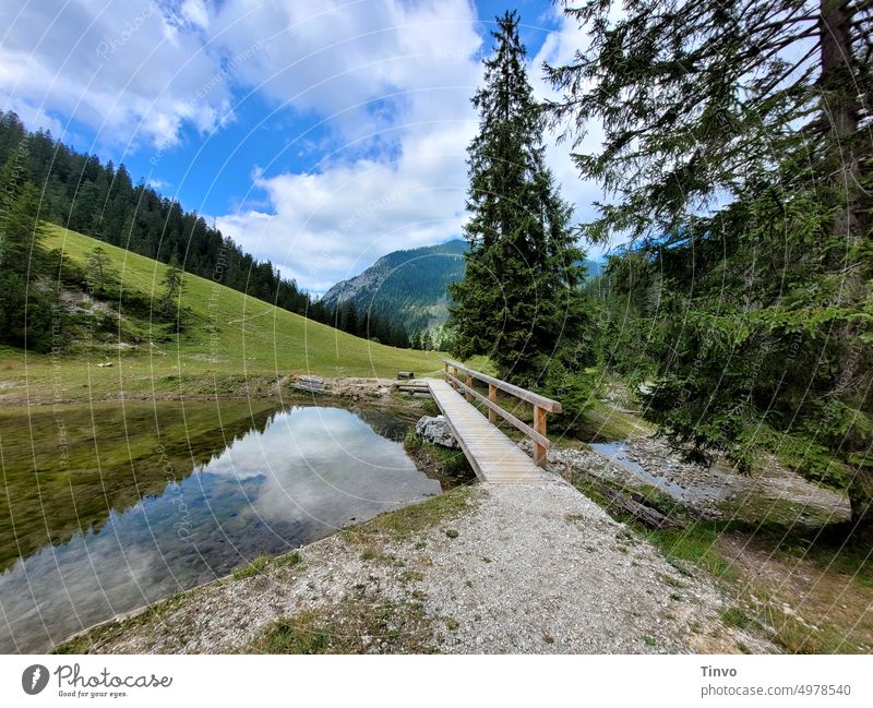 Hiking trail in the mountains leads over a wooden bridge hiking trail firs Wooden bridge Water Lake Forest Nature Sky Vacation & Travel Mountain Exterior shot