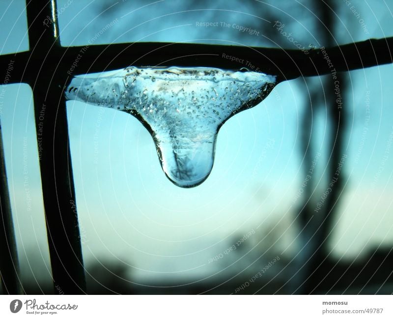 freezing Fence Tree Reflection Grating Frozen Express train Sky Drops of water Ice drop