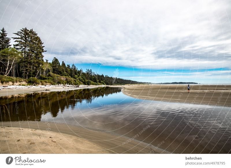 Wide British Columbia Long Beach Vancouver Island Canada North America especially Fantastic Loneliness Lonely Far-off places Exceptional Adventure Water