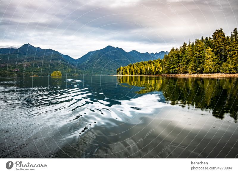 Beauty & Beauty reflection Sky Mountain Impressive especially Nature coast Landscape Ocean Forest trees British Columbia Water Adventure Freedom Canada