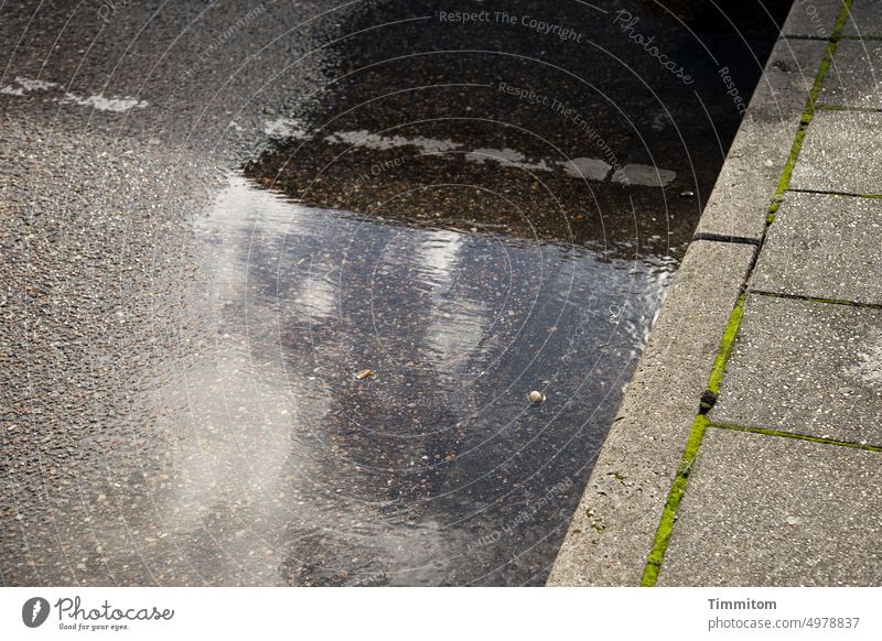 Rain is followed by sunshine Puddle Rainwater Water Wet Asphalt Street Sidewalk Reflection Vacation & Travel Denmark Weather Deserted