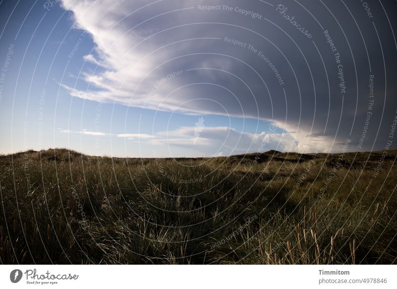 Let's see what the day brings Nature Weather dunes Marram grass Landscape Clouds Large light and dark Sky Vacation & Travel Denmark North Sea Relaxation wide