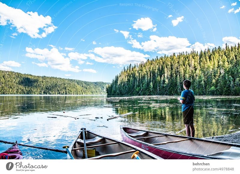 The lake rests still North America Water Plant Nature Lake Canada boat Clearwater Lake Forest Far-off places Landscape Wanderlust mountain lake British Columbia