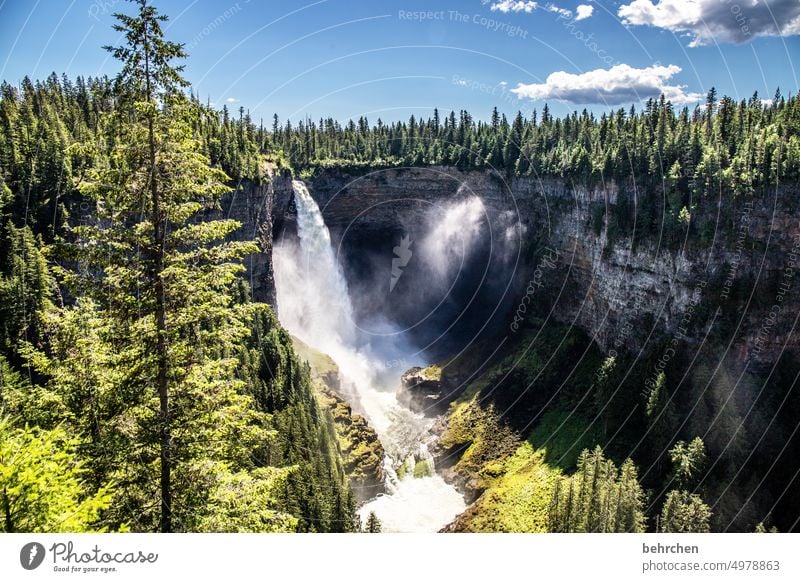 plunge into the deep Deserted Exterior shot Colour photo Natural phenomenon Crash Waterfall Exceptional pretty Effervescent Loud Hissing Landscape Nature