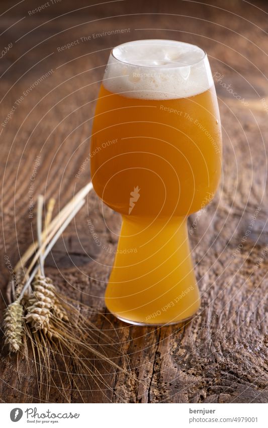 IPA in glass on wood ipa ale pale Barley Wheat Brewery malt Beverage Glass Storage Alcoholic drinks Beer Pub Fresh Wood Beer glass Table brew Water jug